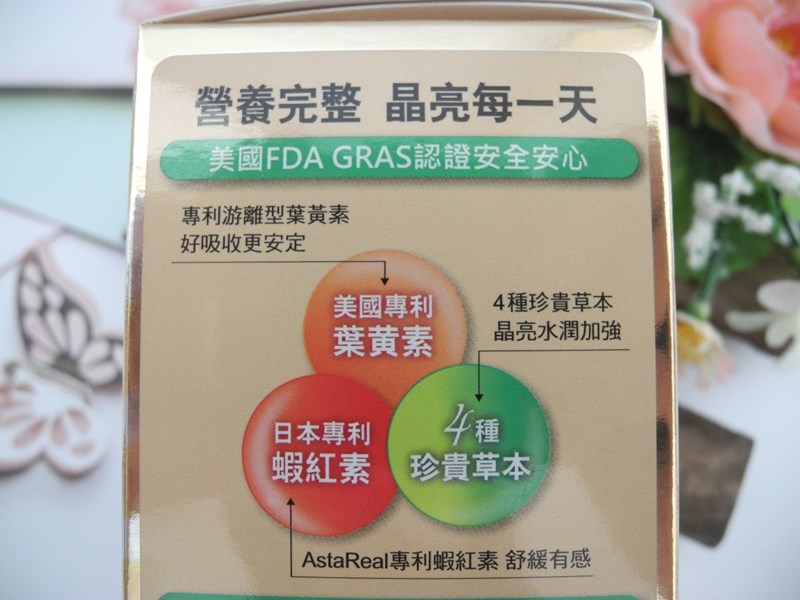 試用
